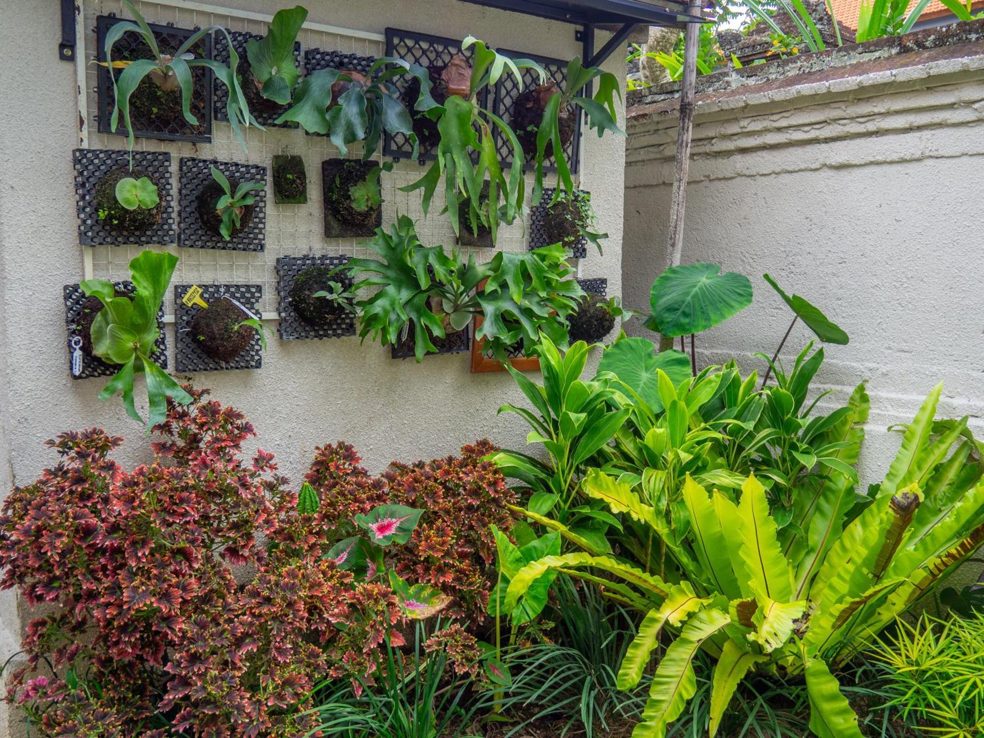 Arumasta Ubud Екстер'єр фото